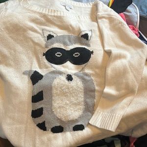 Raccoon Sweater